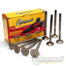 RIGINAL RG2110-1007012 Комплект выпускных клапанов двигателя