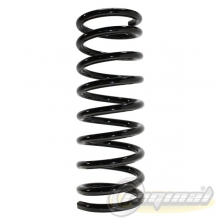 RIGINAL RG3160-2902712 Комплект пружин передней подвески