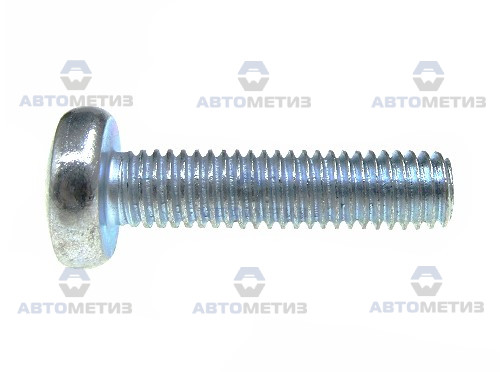 Россия 0189 Винт М6*25