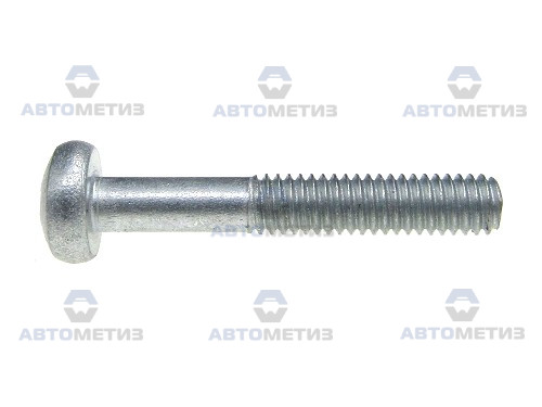 Россия 0206 Винт М4*25